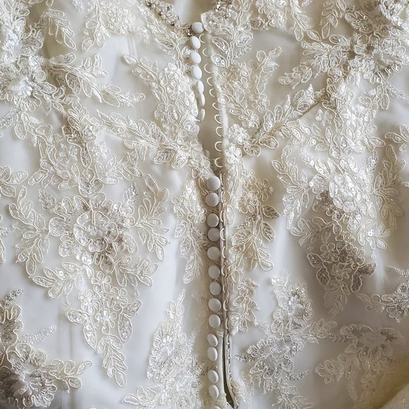 Wedding Dress - Picture 4 of 5